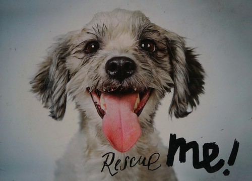 Rescue me!