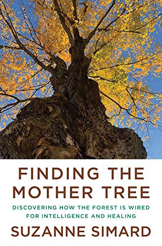 Finding the Mother Tree