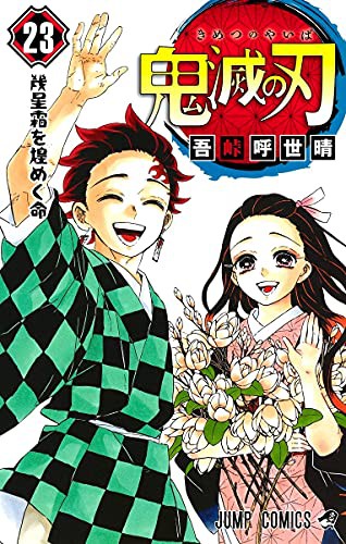 Demon Slayer: Kimetsu No Yaiba, Vol. 23