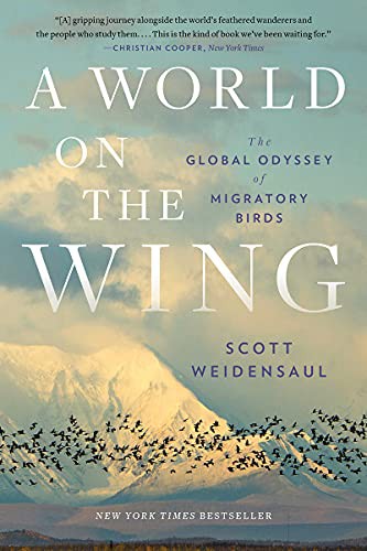 World on the Wing