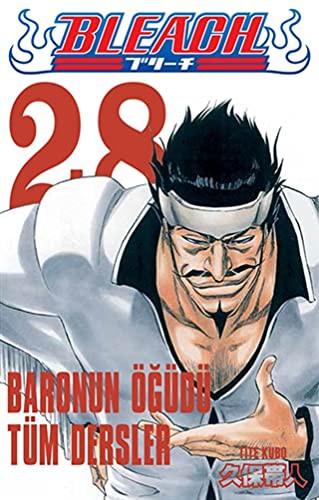 Bleach, Vol. 28