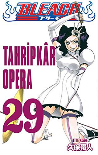 Bleach, Vol. 29