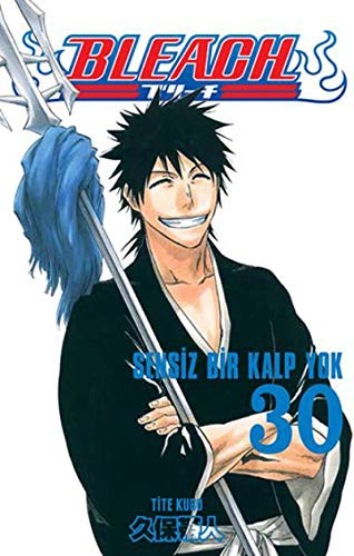 Bleach, Vol. 30