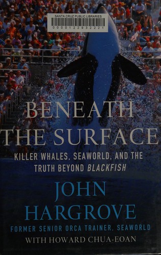 Beneath the surface