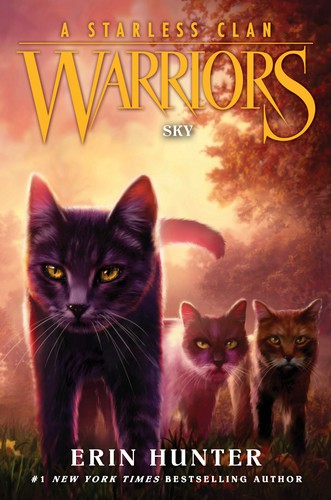 Warriors: A Starless Clan: Sky