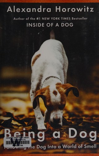 Being a dog