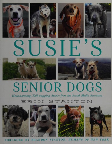 Susie's senior dogs