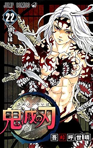 Demon Slayer: Kimetsu No Yaiba, Vol. 22