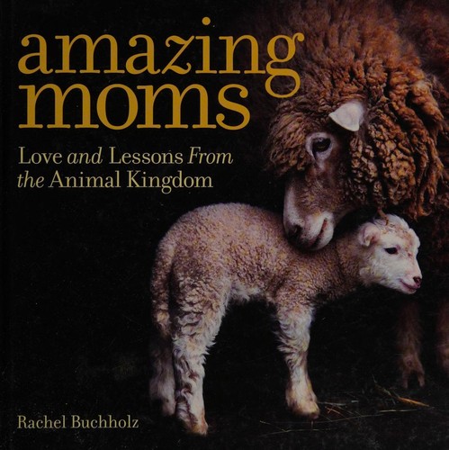 Amazing Moms
