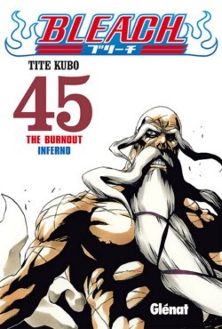 Bleach, Vol. 45