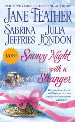 Snowy night with a stranger