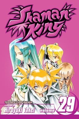 Shaman King, Vol. 29