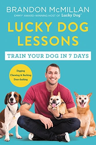 Lucky dog lessons