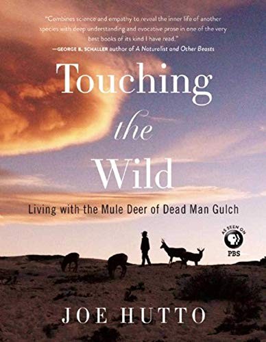 Touching the wild