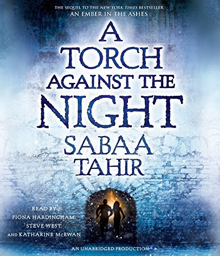 A torch against the night