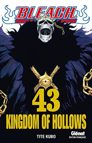 Bleach, Vol. 43